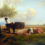 Cows - Paulus Potter